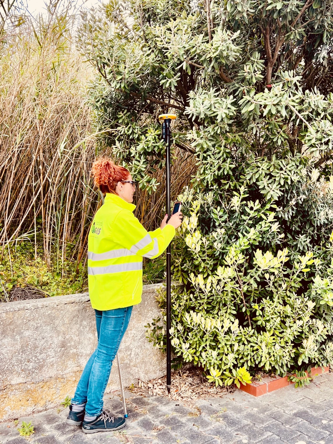 Simple user interface makes Mergin Maps easy to use for non-technical users