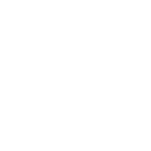 core gears icon