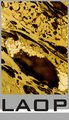 LAOP - Laboratories for Applied & Organic Petrology
