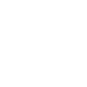 plugins puzzle icon