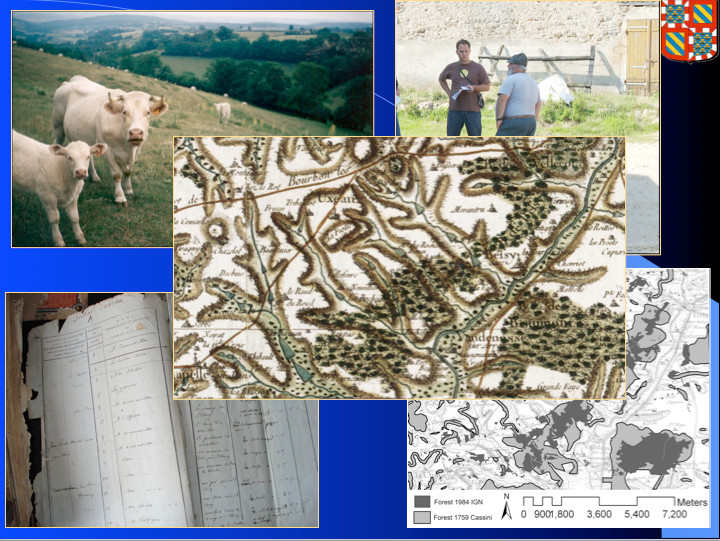 Van linksboven met de klok mee: Lokaal Charolais-vee, etnografische interviews houden met lokale boeren, een GIS-kaart die de verandering in bos weergeeft van 1759 tot en met 1983, en een boek van de kadastrale belastingrecords van Uxeau 1791. In het midden een kleurenkaart van 1759 van Cassini van het gebied.