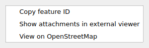QgsActionMenu showing some sample actions for a feature